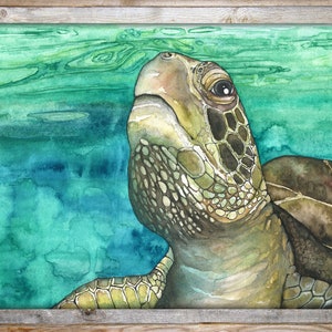 May include: A watercolor painting of a sea turtle swimming in turquoise water. The turtle's head is turned upwards, and its eye is visible. The turtle's shell is brown and green, and its skin is a light brown.