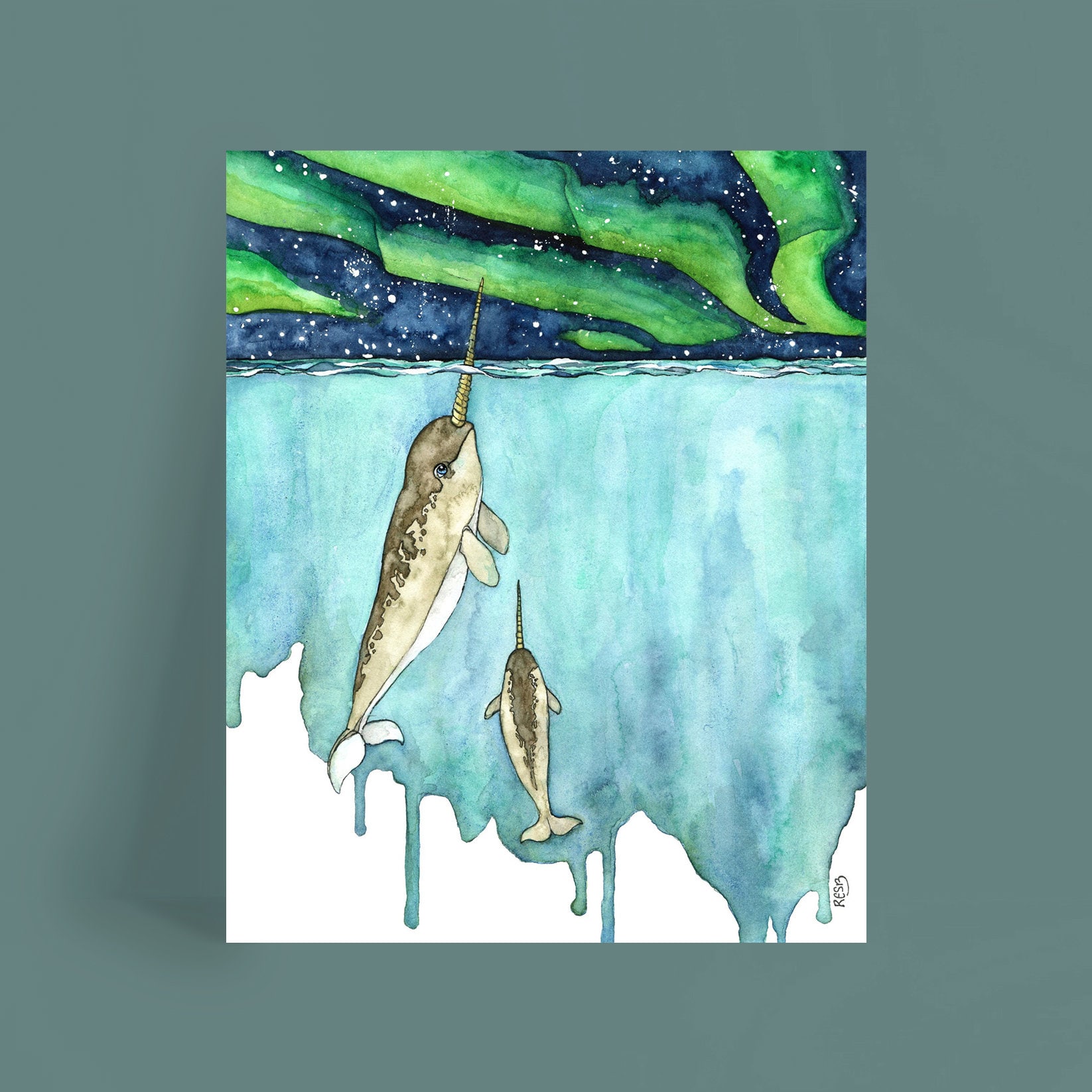 水彩画、イッカクの絵画、イッカク、イッカクのアート、クジラの育児室