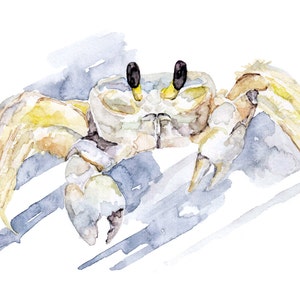 Ghost Crab Painting - Print from Original Watercolor Painting, "Ghost Crab Hunting", Beach Decor, Crab, Under the Sea