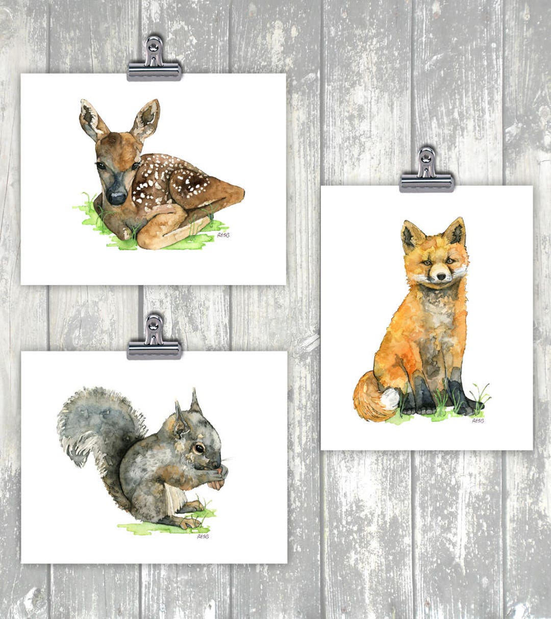 Woodland Nursery Animals Set of 3 - Watercolor Prints, Baby Animal ...