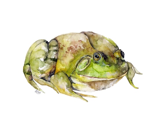 Frog Painting - Print From Original Watercolor Painting, \