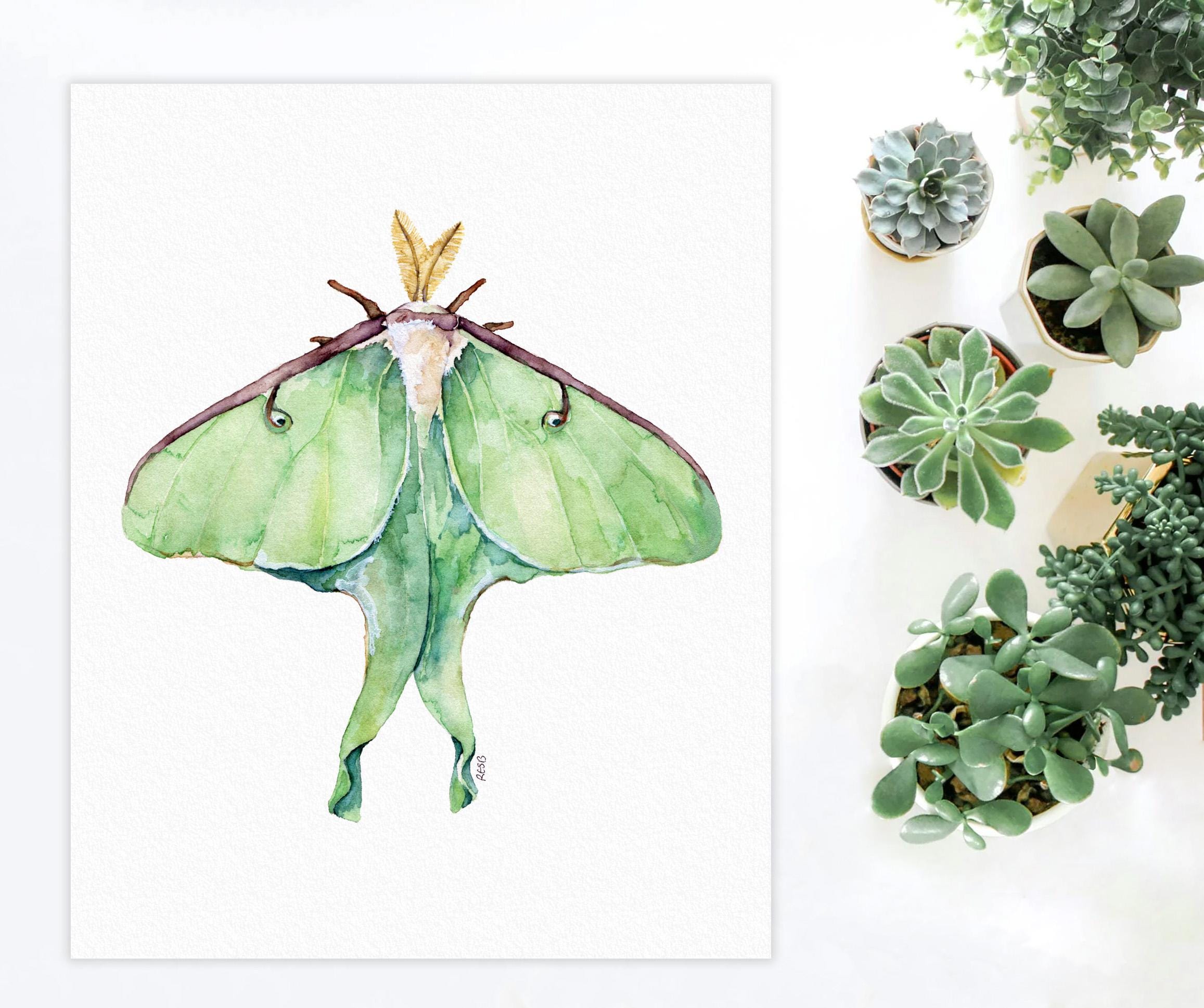 Luna Moth Art Print – Watercolor Insect Wall Art, Green Luna Moth ...