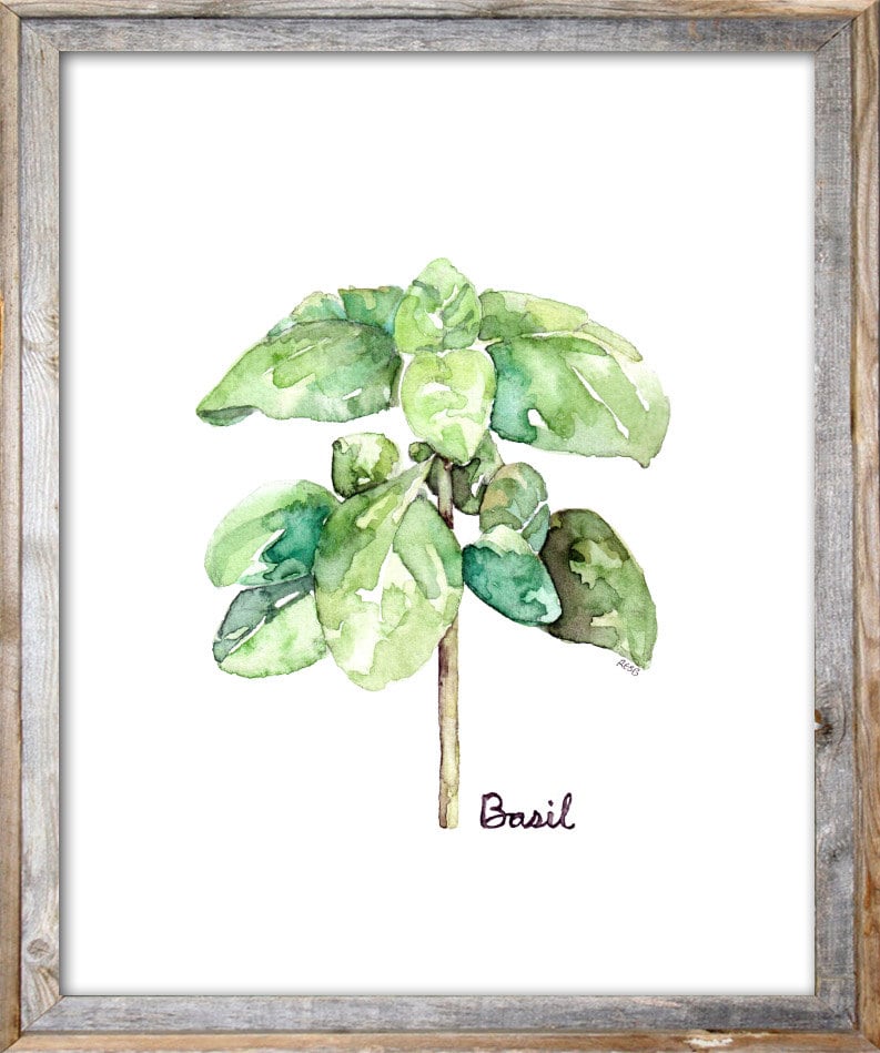 Herb Print Set of 6 - 5x7 Watercolor Prints, Herb Watercolors, Kitchen ...