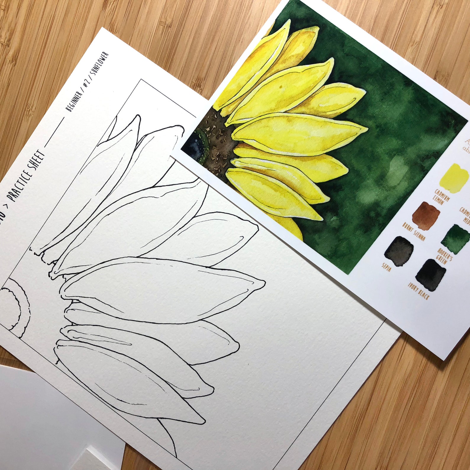 Learn to Paint Watercolor Kit Beginner Practice Set for Paint Etsy Israel