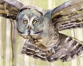 Owl Painting - Print from my Original Watercolor Painting, "The Solo Flyer", Great Horned Owl, Owl Print, Owl Decor, Watercolor Print,