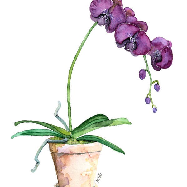 Potted Orchid Painting - Print titled, "Purple Orchid",Orchid Painting, Orchid Print, Botanical, Potted Plant, Orchid Plant, Flower Painting