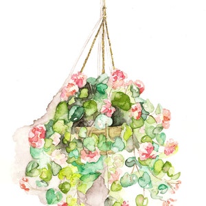 Hanging Flowers Painting - Print from Original Watercolor Painting, &quot;Hanging Geraniums&quot;, Botanical, Red Geranium, Watercolor Flowers