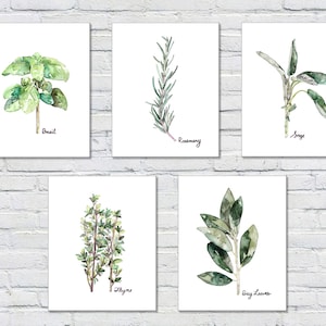 Herb Print Set of 5 - 8x10 Watercolor Prints, Herb Watercolors, Kitchen Decor, Botanical Print, Print Set, Herb Prints, Herb Painting, Herbs