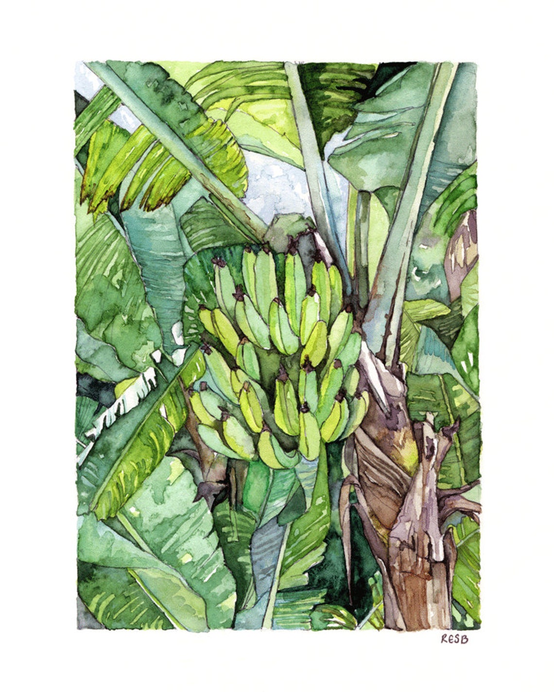 Banana Tree Painting Print From Original Watercolor Etsy