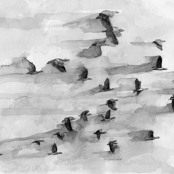 Geese Painting, Watercolor Painting, Flock of Geese, Black and White Art, Bird Prints, Flying Geese, Bird Art, Goose, Print titled, "Flock"