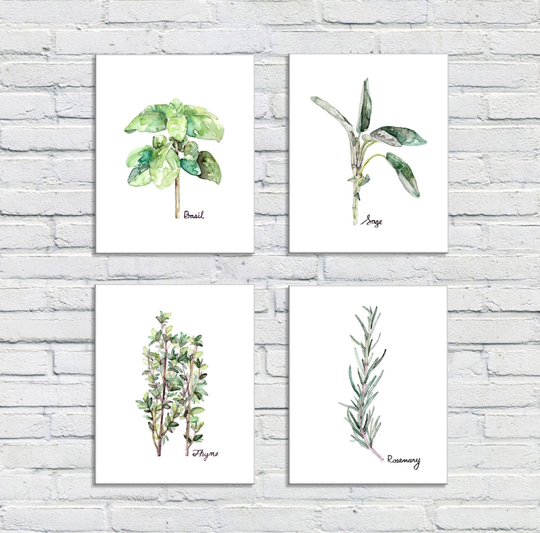 botanical herb prints set of 4 unframed botanical herb... Herb Print Set of 4 - 8x10 Watercolor Prints, Herb Watercolors, Kitchen ...