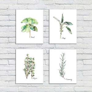 Herb Print Set of 4 - 8x10 Watercolor Prints, Herb Watercolors, Kitchen Decor, Botanical Print, Print Set, Herb Prints, Herb Painting, Herbs