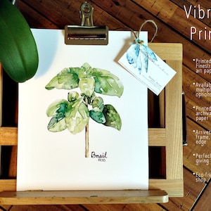 K&ouml;nnte beinhalten: Ein Aquarellbild eines Basilikums auf wei&szlig;em Papier mit dem Wort "Basil" und "RESO" darunter. Der Druck ist gerahmt und bereit zum Aufh&auml;ngen. Der Text "Vibrant Prints" steht in der oberen rechten Ecke des Bildes. Der Text "Printed on Finestra fine art paper" steht unter dem Text "Vibrant Prints". Der Text "Available in multiple paper options" steht unter dem Text "Printed on Finestra fine art paper". Der Text "Printed using archival ink and paper" steht unter dem Text "Available in multiple paper options". Der Text "Arrives ready to frame, printed to edge" steht unter dem Text "Printed using archival ink and paper". Der Text "Perfect for gift giving" steht unter dem Text "Arrives ready to frame, printed to edge". Der Text "Eco-friendly shop" steht unter dem Text "Perfect for gift giving".