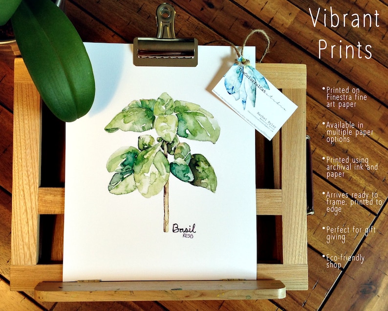 K&ouml;nnte beinhalten: Ein Aquarellbild eines Basilikums auf wei&szlig;em Papier mit dem Wort "Basil" und "RESO" darunter. Der Druck ist gerahmt und bereit zum Aufh&auml;ngen. Der Text "Vibrant Prints" steht in der oberen rechten Ecke des Bildes. Der Text "Printed on Finestra fine art paper" steht unter dem Text "Vibrant Prints". Der Text "Available in multiple paper options" steht unter dem Text "Printed on Finestra fine art paper". Der Text "Printed using archival ink and paper" steht unter dem Text "Available in multiple paper options". Der Text "Arrives ready to frame, printed to edge" steht unter dem Text "Printed using archival ink and paper". Der Text "Perfect for gift giving" steht unter dem Text "Arrives ready to frame, printed to edge". Der Text "Eco-friendly shop" steht unter dem Text "Perfect for gift giving".