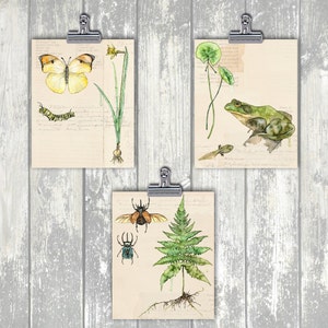 Botanical Print Painting Titled Nature Collection, Pond Watercolor Print, Frog, Art Print, Botanical Print, Wall Art, Painting,Botanical image 3