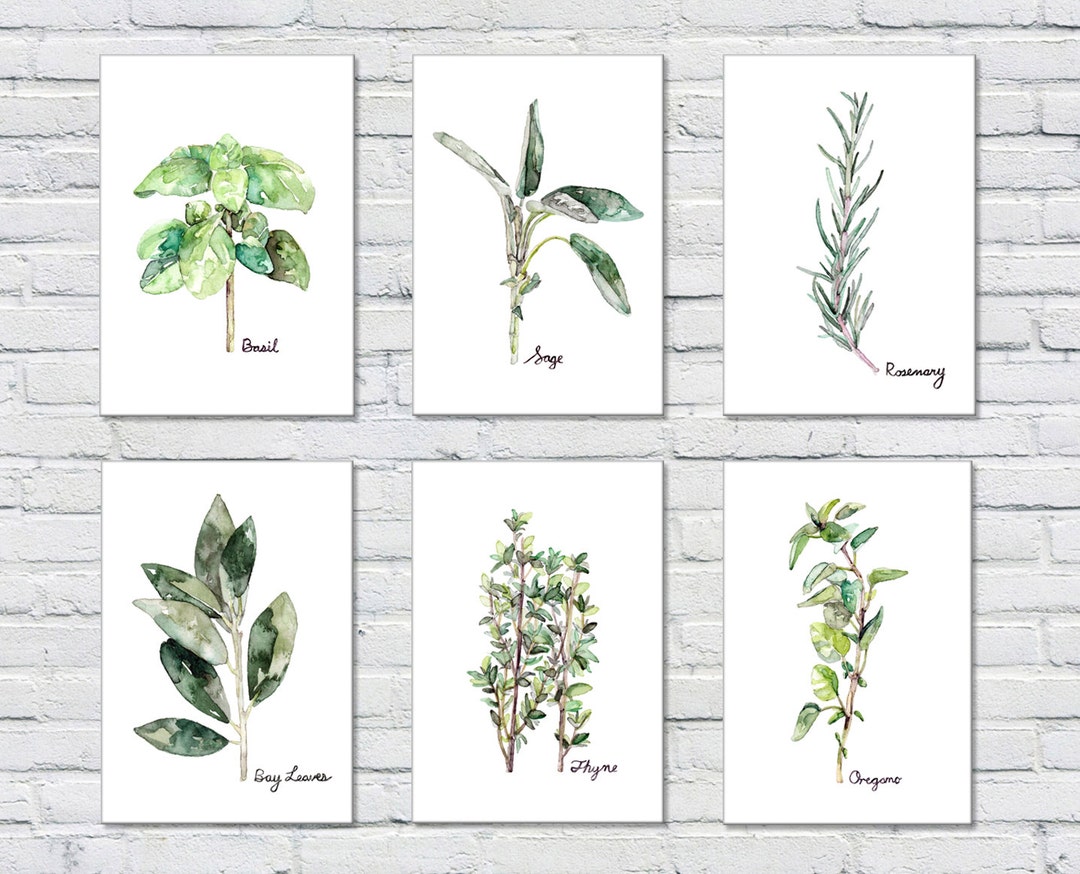 Herb Print Set of 6 - 5x7 Watercolor Prints, Herb Watercolors, Kitchen ...