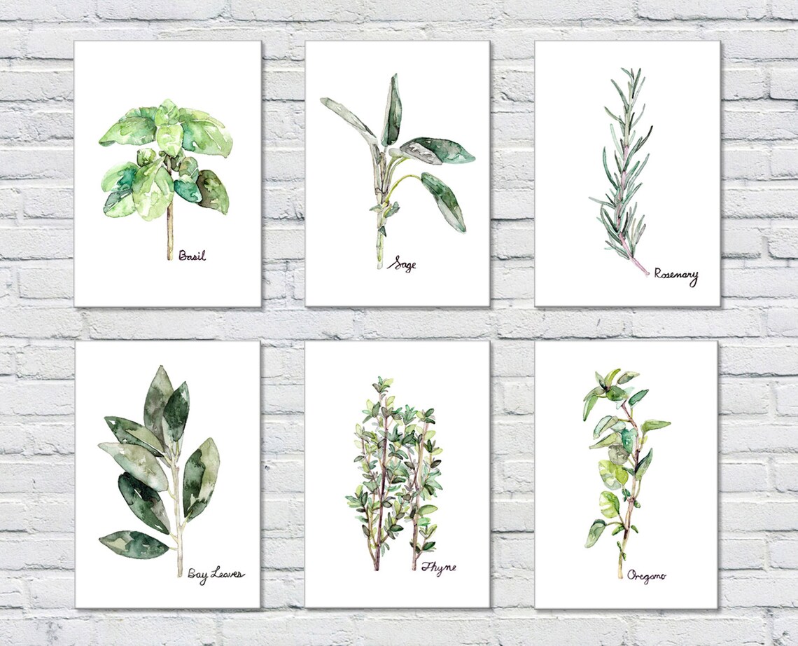Herb Print Set of 6 - 5x7 Watercolor Prints, Herb Watercolors, Kitchen ...