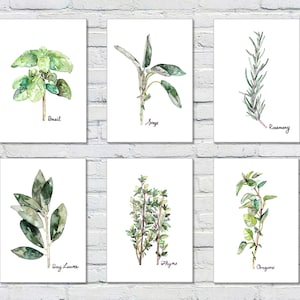 Herb Print Set of 6 - 5x7 Watercolor Prints, Herb Watercolors, Kitchen Decor, Botanical Print, Print Set, Herb Prints, Herb Painting, Herbs