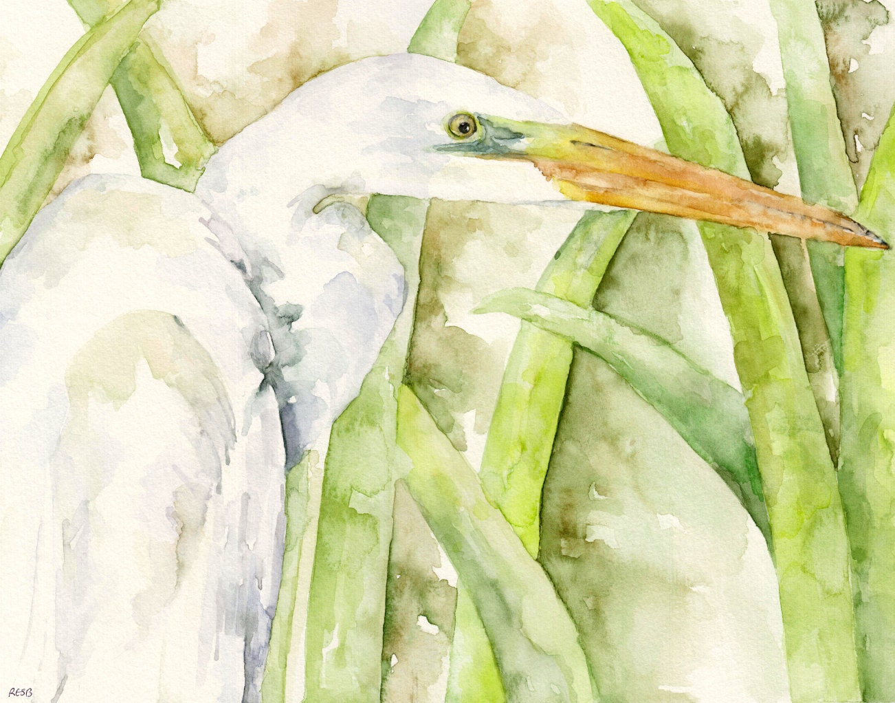 Egret Painting - Print from Original Watercolor Painting, "The Water Stalker", White Egret, Bird, Waterfowl