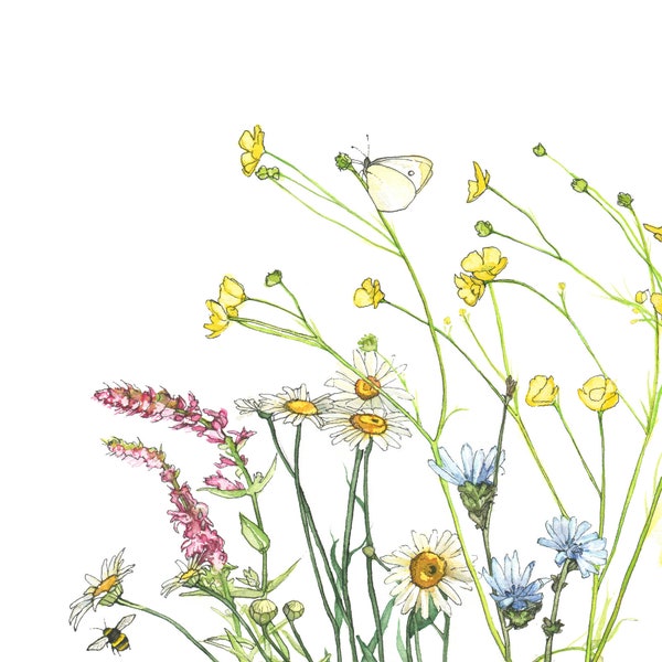 Buttercup Wildflower Print  - Watercolor Wildflower Field, Botanical Painting, Botanical Print, Wildflower Field Art, Nursery Art