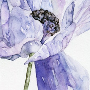 Blue Flower Painting Print from Original Watercolor Painting, Blue Anemone, Botanical, Blue Flower, Watercolor Flower image 2