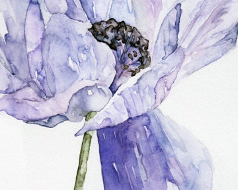 Blue Flower Painting Print from Original Watercolor Painting, Blue Anemone, Botanical, Blue Flower, Watercolor Flower image 2