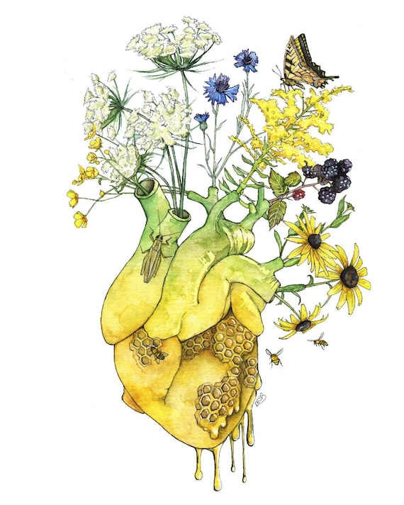 Watercolor Anatomical Heart Print – Botanical Human Heart Wall Art with Wildflowers & Bees, Science Inspired Home Decor
