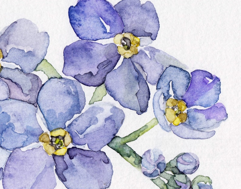 Forget Me Not Painting Print from my Original Watercolor Painting, Forget Me Nots, Garden Decor, Blue Flower, Watercolor Flower image 2