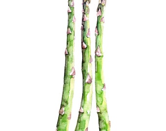 Asparagus Painting - Print from Original Watercolor Painting, "Asparagus Stalks", Kitchen Decor, Green Asparagus, Kitchen Art
