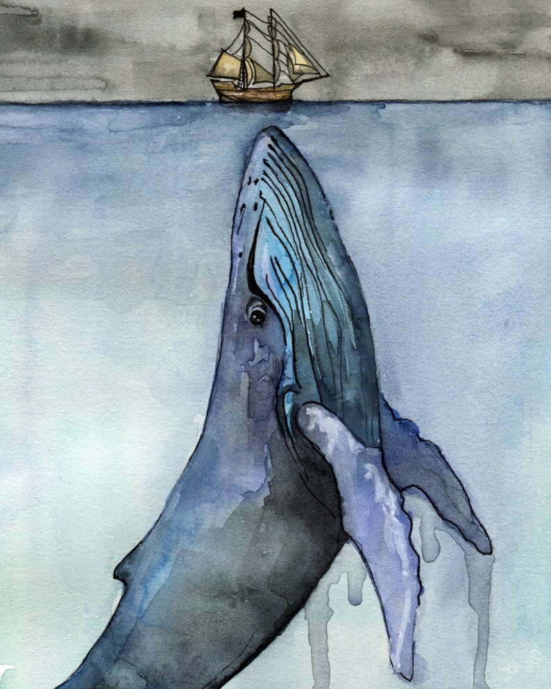May include: A watercolor painting of a blue whale breaching the surface of the ocean. A small sailboat with a black flag sails on the surface of the water above the whale.