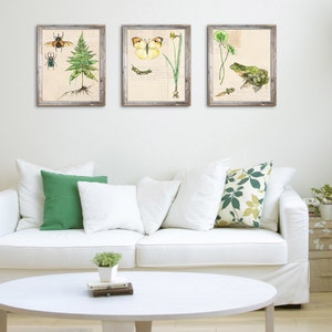 Botanical Print Painting Titled Nature Collection, Pond Watercolor Print, Frog, Art Print, Botanical Print, Wall Art, Painting,Botanical image 5