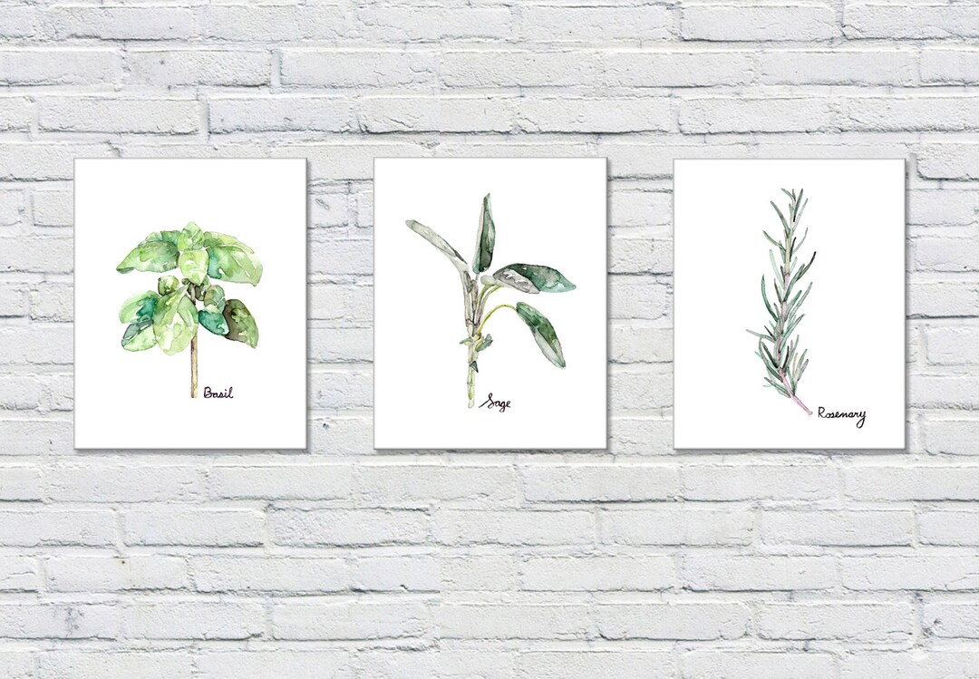 Herb Print Set of 3 - 8x10 Watercolor Prints, Herb Watercolors, Kitchen ...