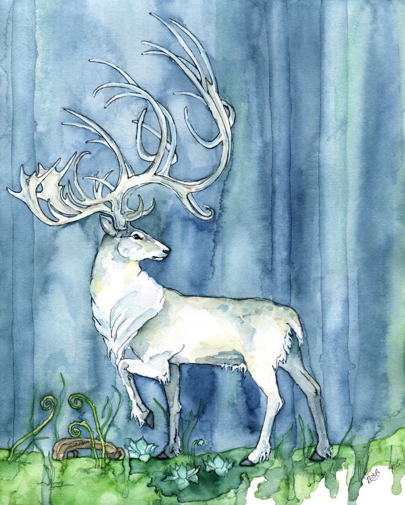 White Stag Drawing