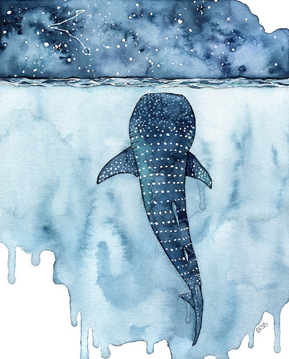 水彩画、ジンベイザメの絵画、クジラの絵画、クジラのプリント