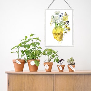 May include: Five potted plants with terracotta pots and white labels. The plants are arranged on a wooden shelf. The labels are handwritten with the names of the plants: "Thyme", "Mint", "Tomato", "Basil", and "Rosemary". A framed print of a yellow heart with flowers and a butterfly hangs on the wall above the shelf.