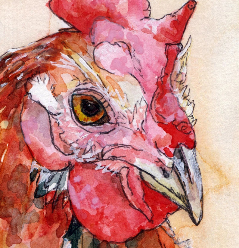 May include: Close-up watercolor painting of a rooster's head. The rooster has a red comb and wattle, a yellow eye, and a white and brown speckled face.