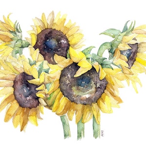 Pittura di girasole - Stampa dal dipinto originale ad acquerello, "Girasoli raccolti", arte del giardino, girasole giallo
