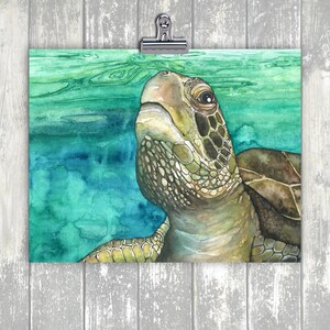 May include: A watercolor painting of a green sea turtle swimming in turquoise water. The turtle is looking up at the surface of the water.
