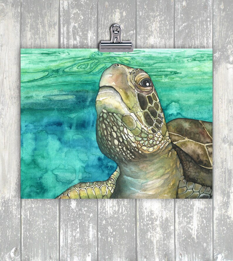 May include: A watercolor painting of a green sea turtle swimming in turquoise water. The turtle is looking up at the surface of the water.