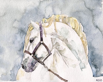 Horse Painting - Print from my Original Watercolor Painting, "Just a Silver Stallion", Mustang, White Horse, Horse Art, Horse Decor