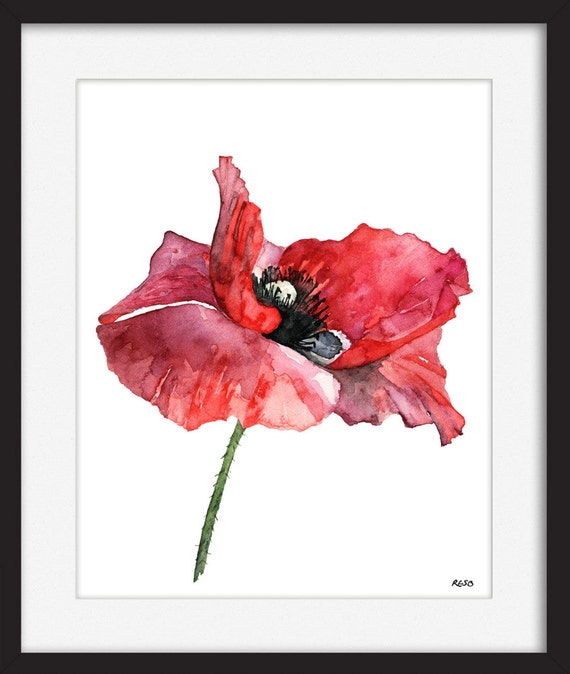 Watercolor Red Poppy Flowers Dishwasher Magnet Cover Refrigerato 並行輸入品 10,500+ Poppy Flower Watercolor Stock Photos, Pictures \u0026 Royalty