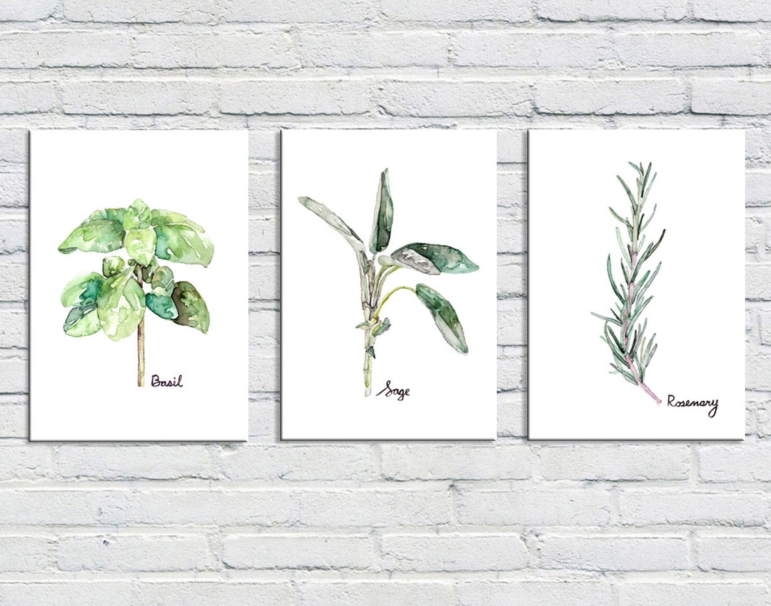 Herb Print Set of 3 - 5x7 Watercolor Prints, Herb Watercolors, Kitchen ...