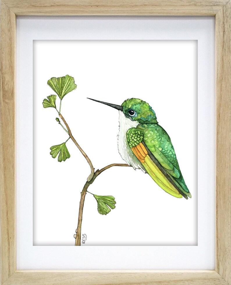 May include: A watercolour painting of a green hummingbird perched on a branch with green leaves. The hummingbird has a white chest and a yellow tail.