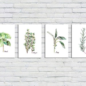 Herb Print Set of 4 - 5x7 Watercolor Prints, Herb Watercolors, Kitchen Decor, Green Herbs, Print Set, Herb Prints, Herb Painting, Herbs