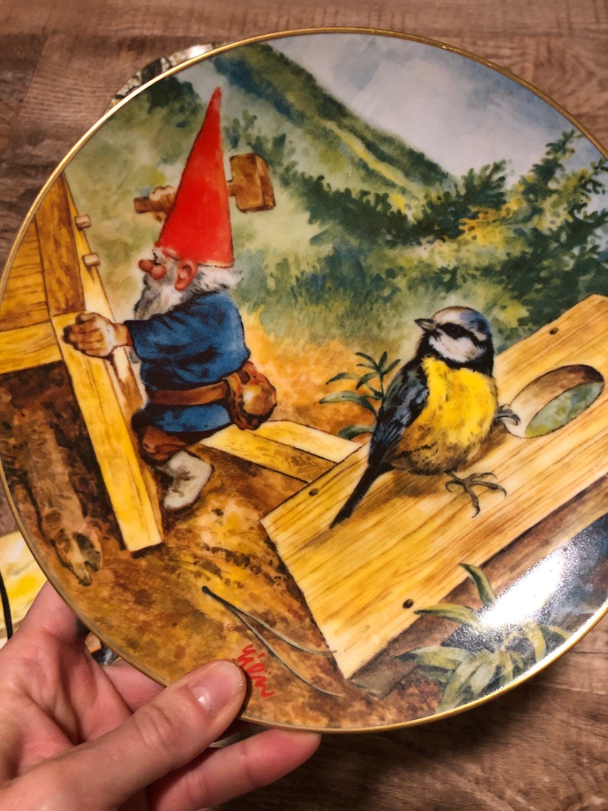 Vintage Collectable Gnome Plates Gnome Bliss & Fun and Games Etsy