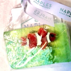 Clown Fish Soap from Naples Sop Company
