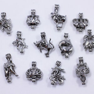 May include: Twelve silver charm pendants featuring the zodiac signs. Each pendant is a detailed, three-dimensional representation of a zodiac sign, including Aries, Taurus, Gemini, Cancer, Leo, Virgo, Libra, Scorpio, Sagittarius, Capricorn, Aquarius, and Pisces.