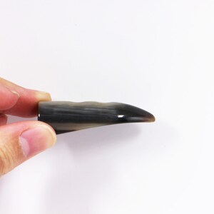 May include: A black and gray horn pick for a musical instrument.