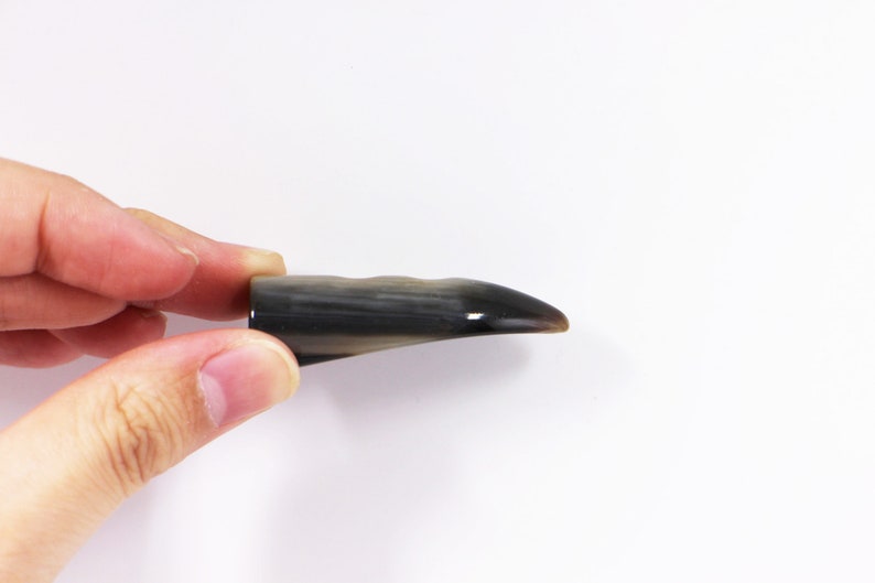 May include: A black and gray horn pick for a musical instrument.