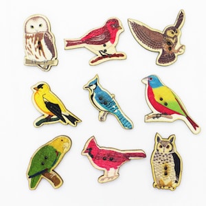 Vogel Holzknopf, verschiedene Vögel Stil, Eulen Papagei, große Größe, Tierform, 2 Löcher, bunte Mischung viel, rot blau grün gelb, 35mm